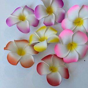 Colorful Plumeria Hair Clips